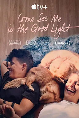 Come See Me in the Good Light poster