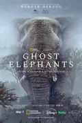 Ghost Elephants poster