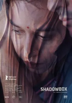 Shadowbox poster