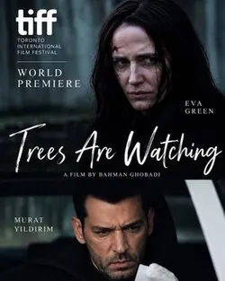 Trees are Watching poster