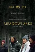 Meadowlarks poster