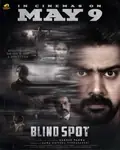Blind Spot poster