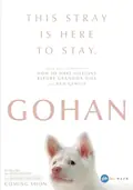 Gohan poster