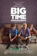 Big Time Adolescence poster