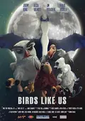 Birds Like Us poster