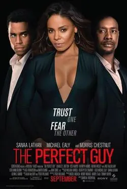 The Perfect Guy poster