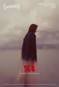Zi poster
