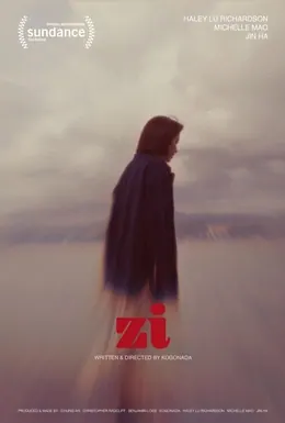 Zi poster