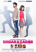 We Are Pregnant poster
