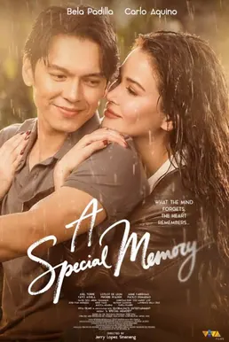 A Special Memory poster