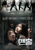 Manhole poster
