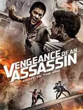 Vengeance of an Assassin poster