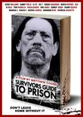Survivor's Guide to Prison poster