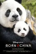 Born in China poster