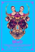 Braid poster