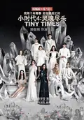Tiny Times 4 poster