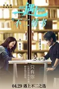 Finding Mr. Right 2 poster