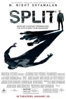 Split poster