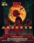 Gully poster