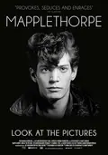 Mapplethorpe: Look at the Pictures poster