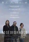 Can't Say Goodbye poster