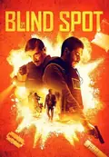 The Blind Spot poster