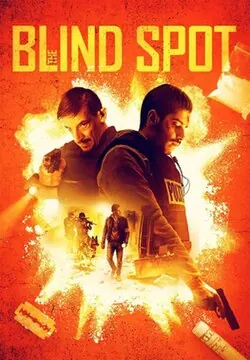 The Blind Spot poster