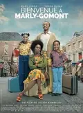 The African Doctor poster