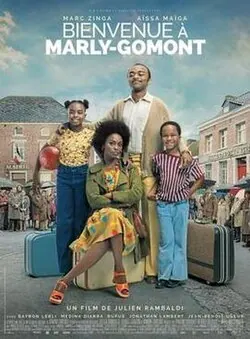 The African Doctor poster