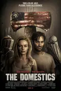 The Domestics poster