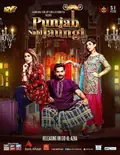 Punjab Nahi Jaungi poster