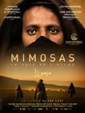 Mimosas poster