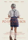 Barefoot poster