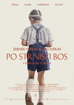 Barefoot poster