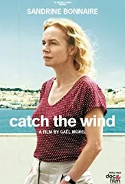 Catch the Wind poster