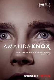 Amanda Knox poster
