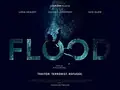 The Flood poster