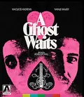 A Ghost Waits poster