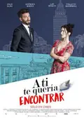 I Wanted to Find You poster