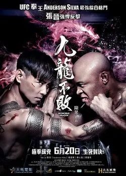 The Invincible Dragon poster