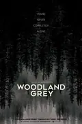 Woodland Grey poster