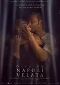 Naples in Veils poster