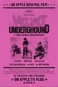 The Velvet Underground poster