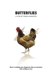 Butterflies poster