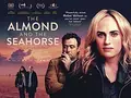 The Almond and the Seahorse poster