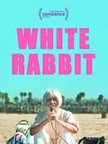 White Rabbit poster