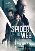 Spider in the Web poster
