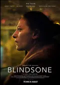 Blind Spot poster