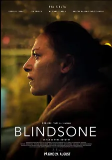 Blind Spot poster