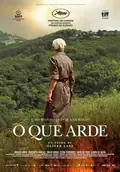 Fire Will Come poster